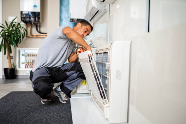 Best Air Duct Mold Removal  in Linglestown, PA